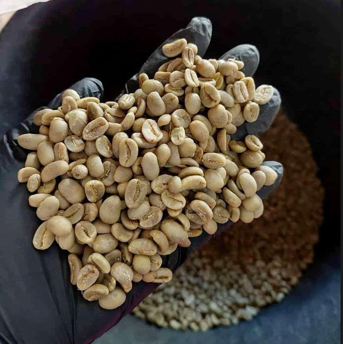 “日本国内の焙煎士による中浅煎りで提供